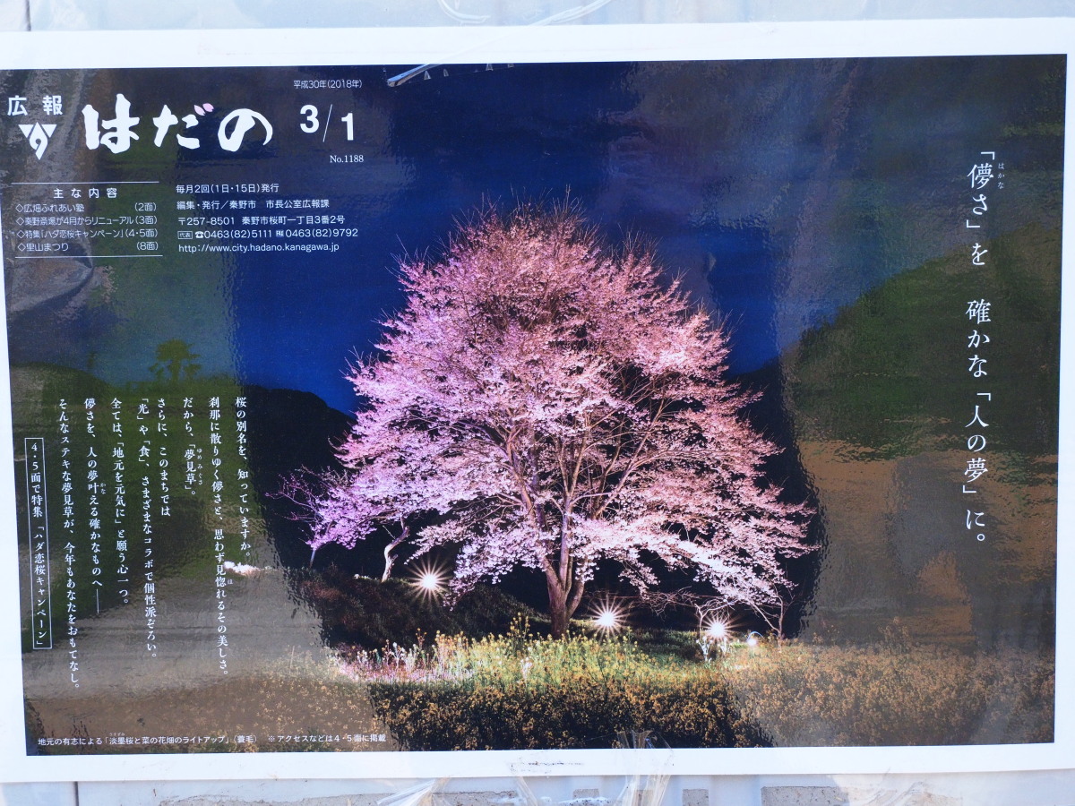 f:id:otaku4160:20190407005140j:plain f:id:otaku4160:20190407005140j:plain