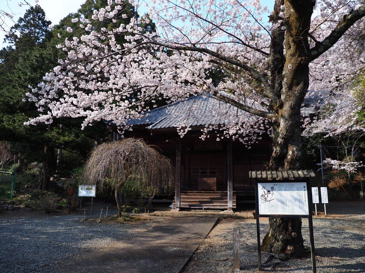 f:id:otaku4160:20190407005155j:plain f:id:otaku4160:20190407005155j:plain