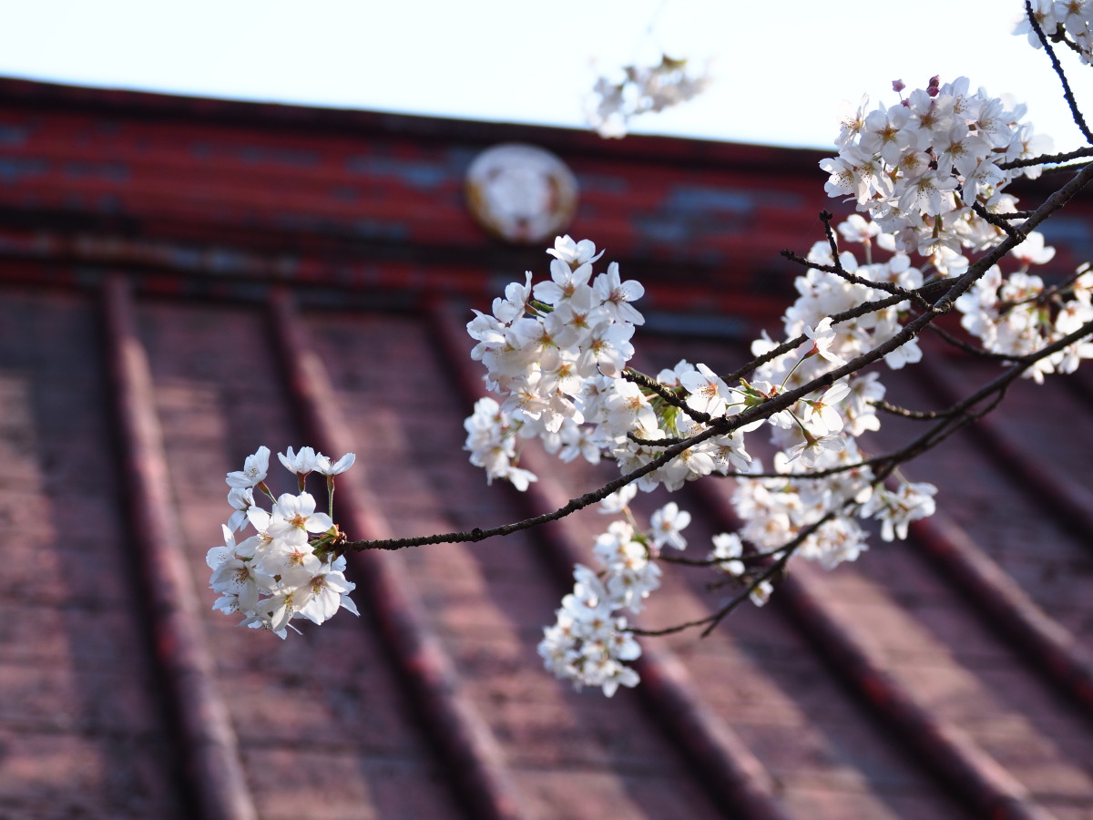 f:id:otaku4160:20190407005205j:plain f:id:otaku4160:20190407005205j:plain