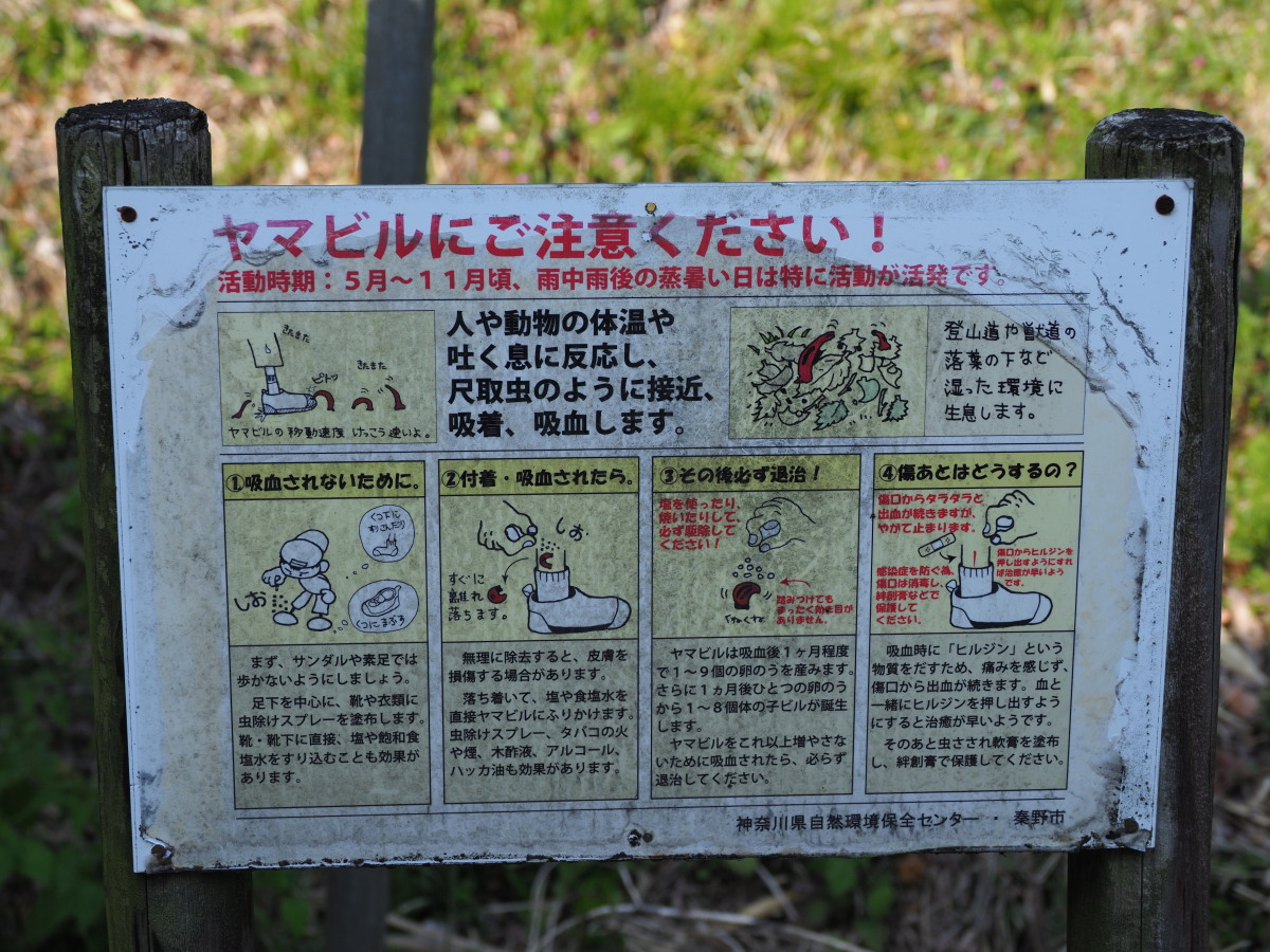 f:id:otaku4160:20190407005235j:plain f:id:otaku4160:20190407005235j:plain