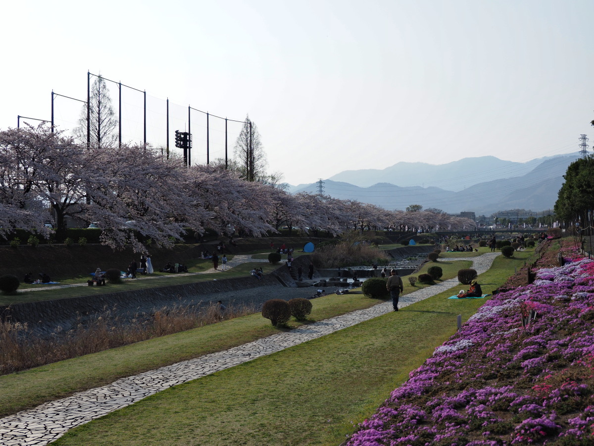 f:id:otaku4160:20190407005242j:plain f:id:otaku4160:20190407005242j:plain