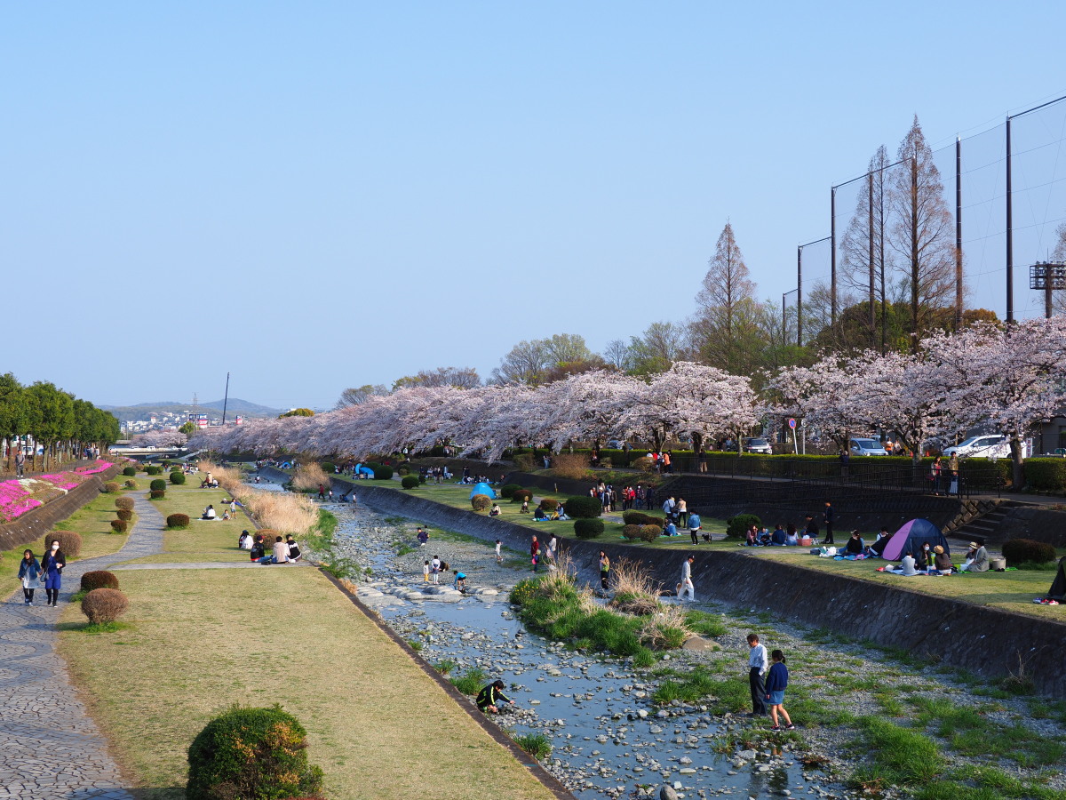 f:id:otaku4160:20190407005249j:plain f:id:otaku4160:20190407005249j:plain