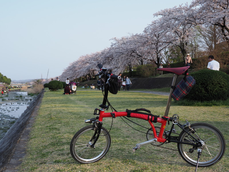 f:id:otaku4160:20190407005253j:plain f:id:otaku4160:20190407005253j:plain