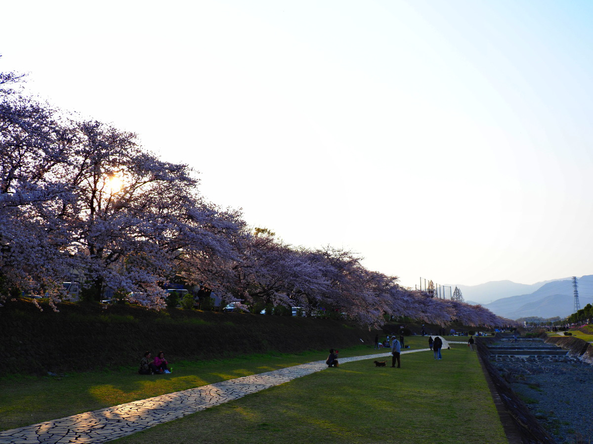 f:id:otaku4160:20190407005257j:plain f:id:otaku4160:20190407005257j:plain