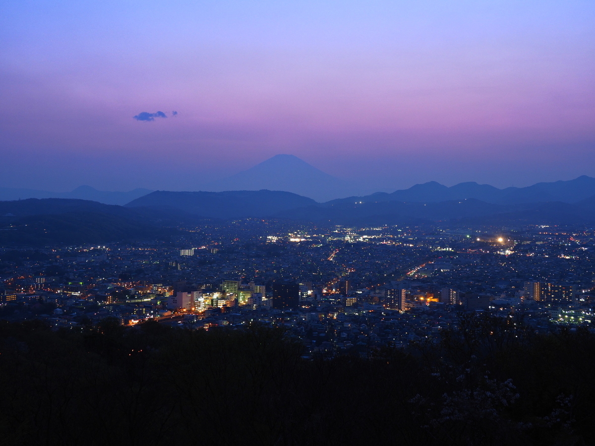 f:id:otaku4160:20190407005337j:plain f:id:otaku4160:20190407005337j:plain