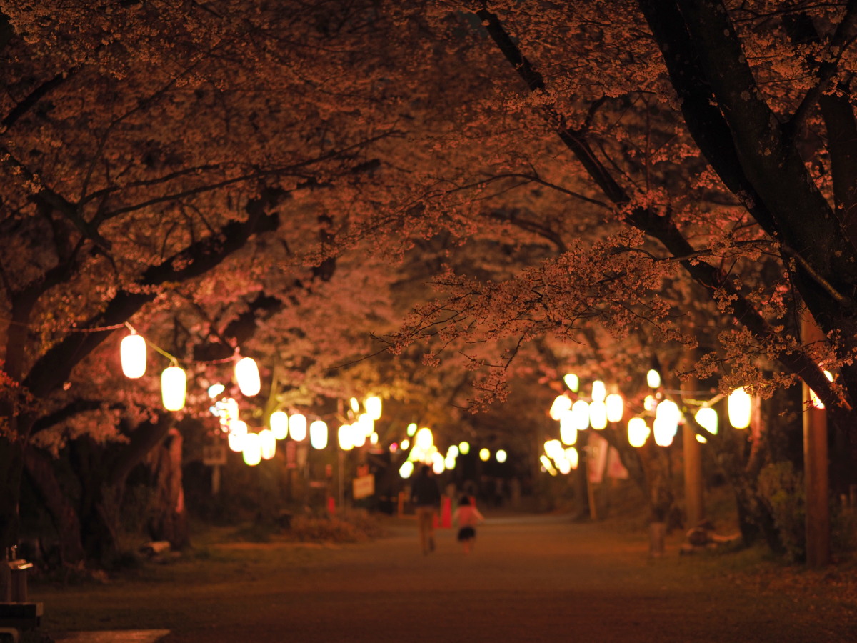 f:id:otaku4160:20190407005353j:plain f:id:otaku4160:20190407005353j:plain