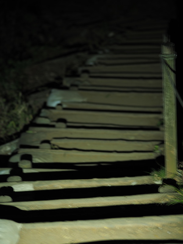f:id:otaku4160:20190407005401j:plain f:id:otaku4160:20190407005401j:plain