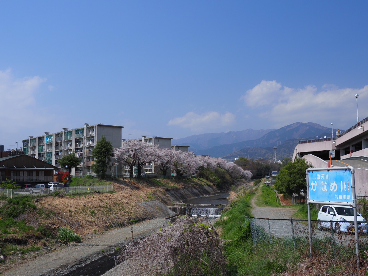 f:id:otaku4160:20190407005418j:plain f:id:otaku4160:20190407005418j:plain