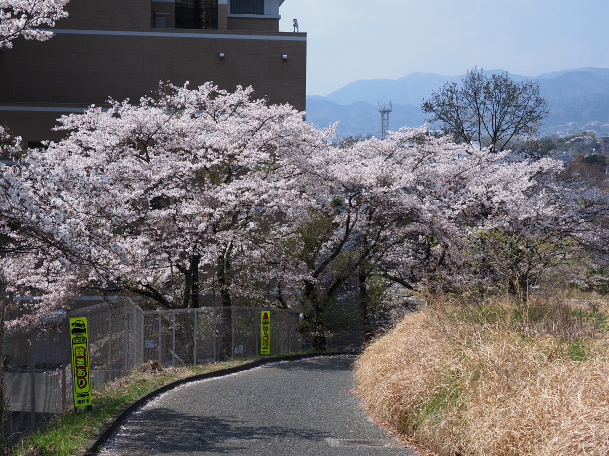 f:id:otaku4160:20190407005423j:plain f:id:otaku4160:20190407005423j:plain