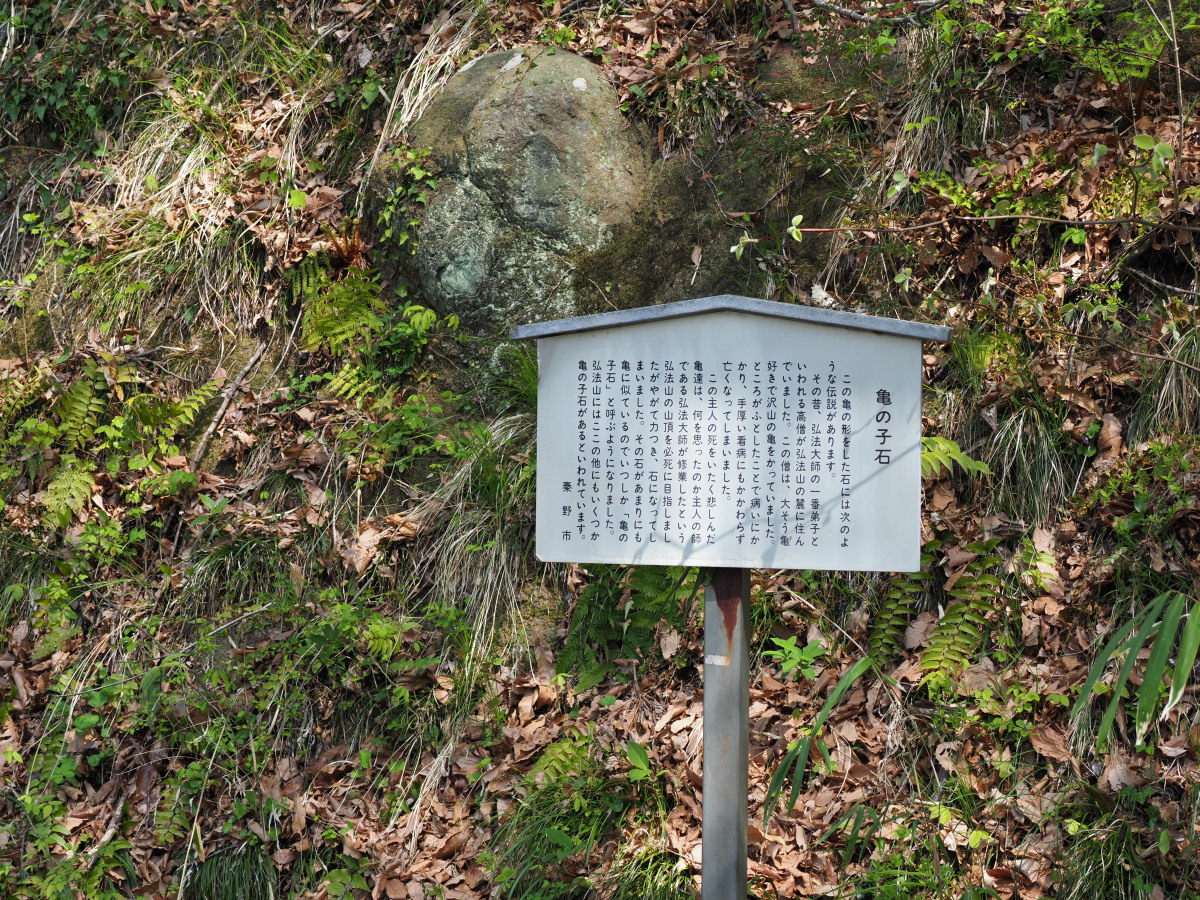 f:id:otaku4160:20190407005426j:plain f:id:otaku4160:20190407005426j:plain