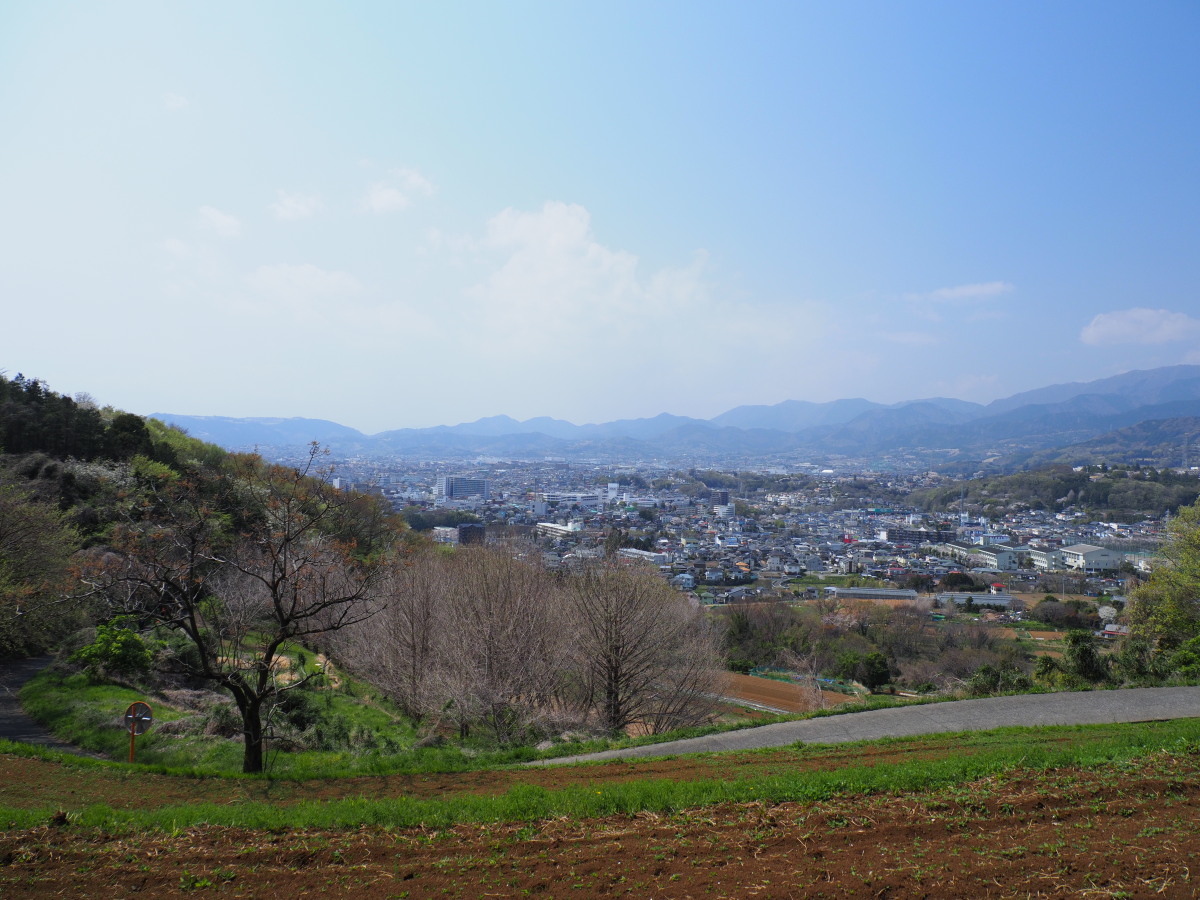 f:id:otaku4160:20190407005432j:plain f:id:otaku4160:20190407005432j:plain