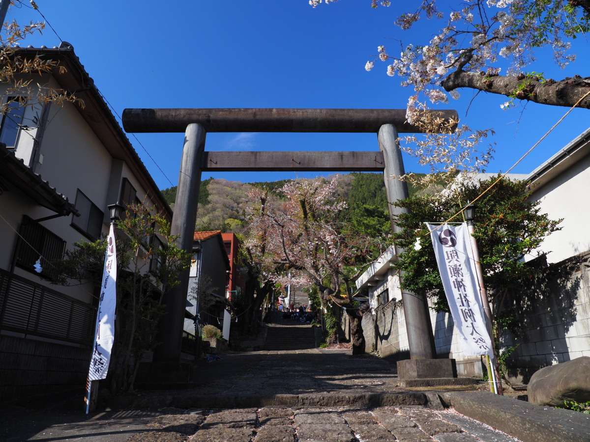 f:id:otaku4160:20190415053227j:plain f:id:otaku4160:20190415053227j:plain