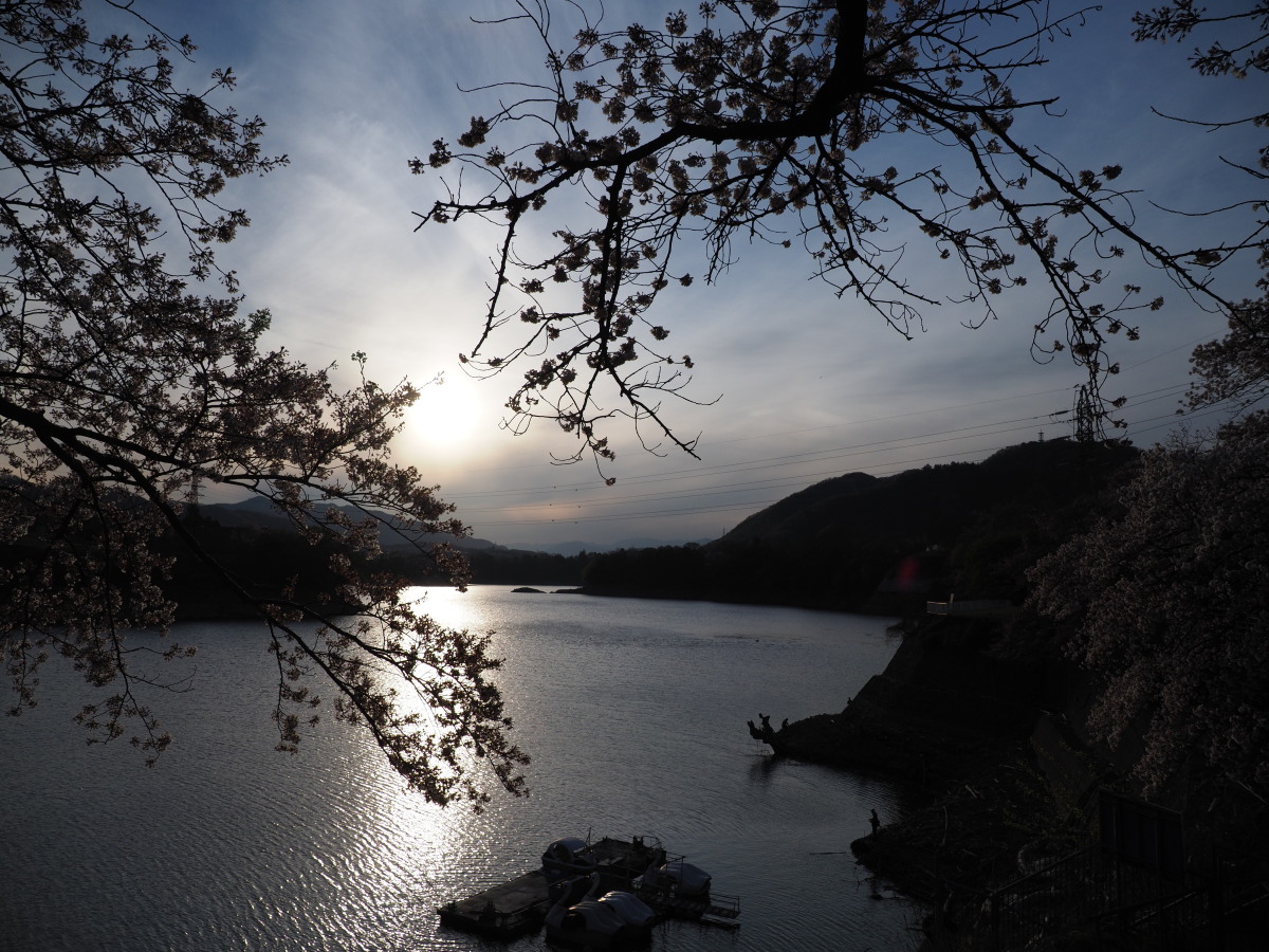 f:id:otaku4160:20190415053240j:plain f:id:otaku4160:20190415053240j:plain