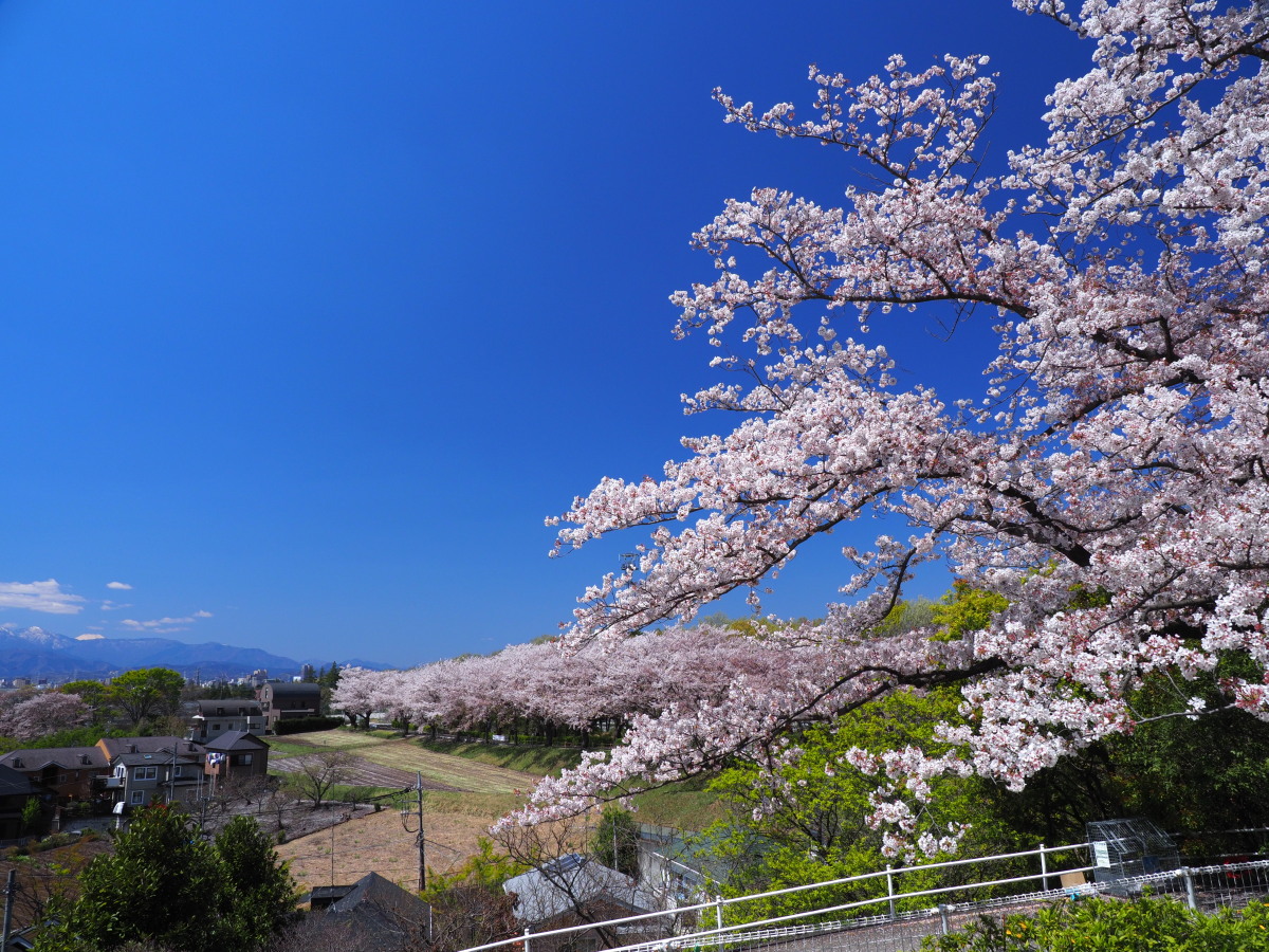 f:id:otaku4160:20190415053252j:plain f:id:otaku4160:20190415053252j:plain