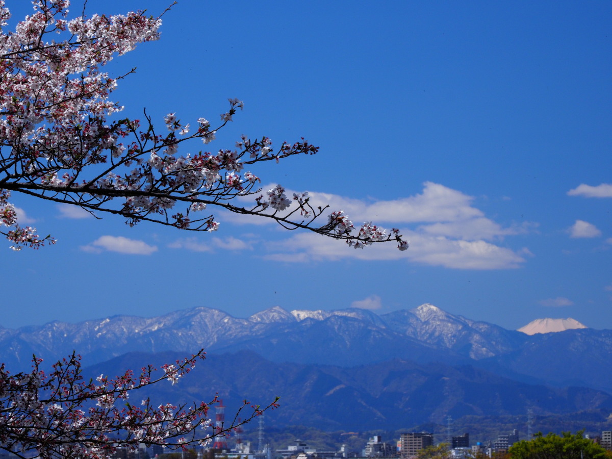 f:id:otaku4160:20190415053256j:plain f:id:otaku4160:20190415053256j:plain