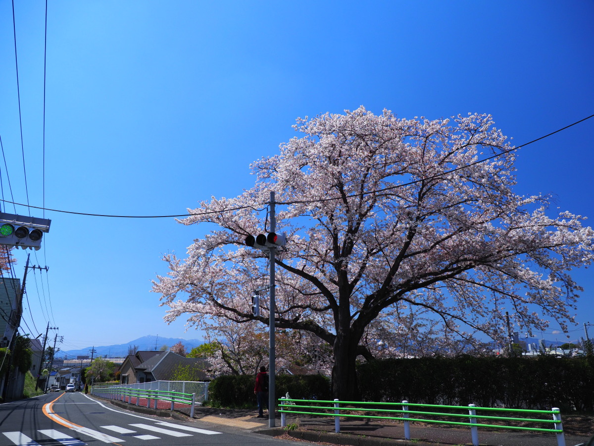 f:id:otaku4160:20190415053303j:plain f:id:otaku4160:20190415053303j:plain