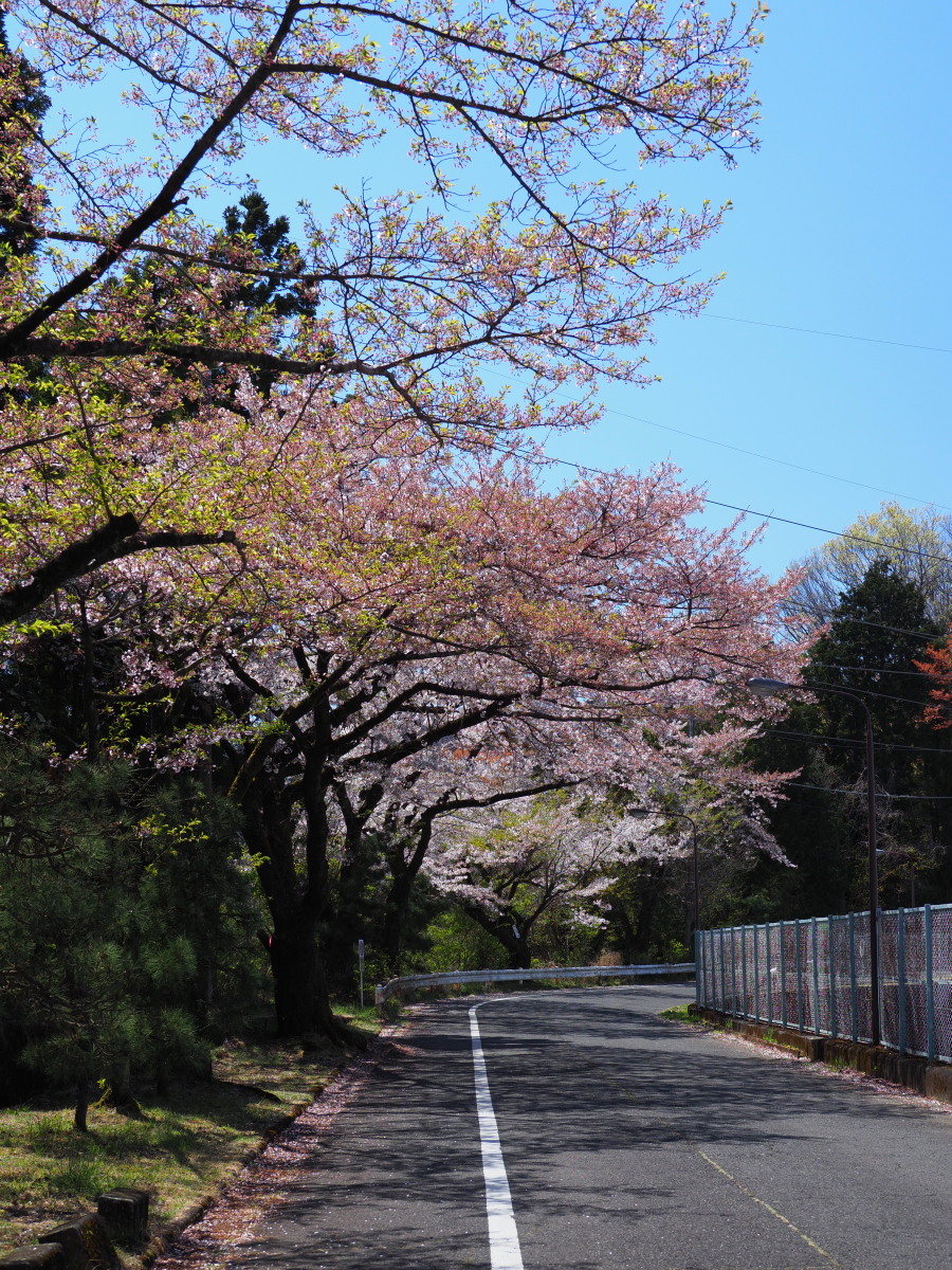 f:id:otaku4160:20190415053312j:plain f:id:otaku4160:20190415053312j:plain