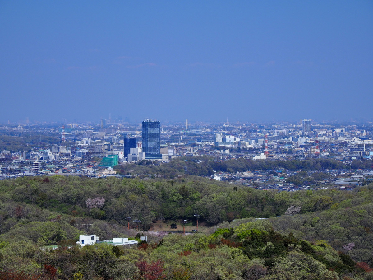 f:id:otaku4160:20190415053334j:plain f:id:otaku4160:20190415053334j:plain