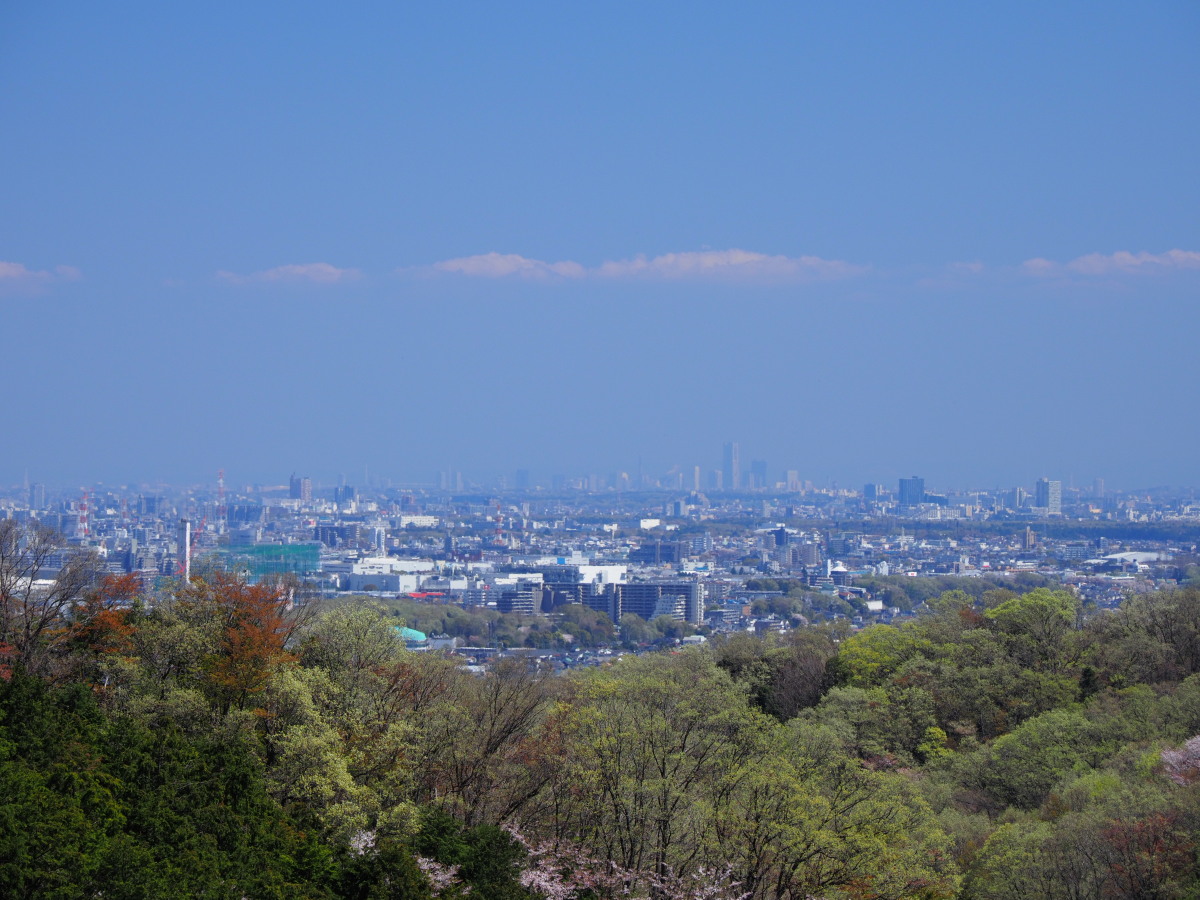 f:id:otaku4160:20190415053350j:plain f:id:otaku4160:20190415053350j:plain