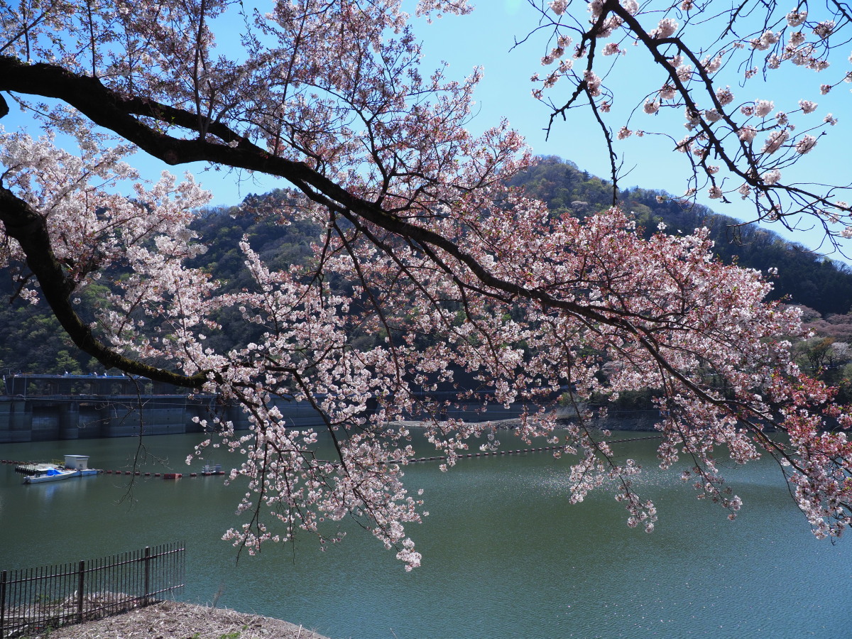 f:id:otaku4160:20190415053412j:plain f:id:otaku4160:20190415053412j:plain