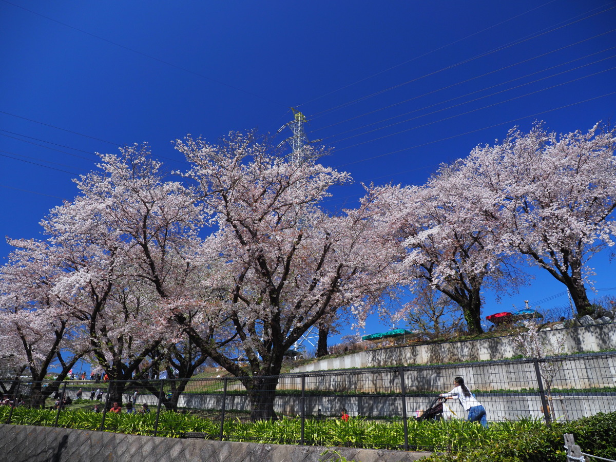 f:id:otaku4160:20190415053416j:plain f:id:otaku4160:20190415053416j:plain