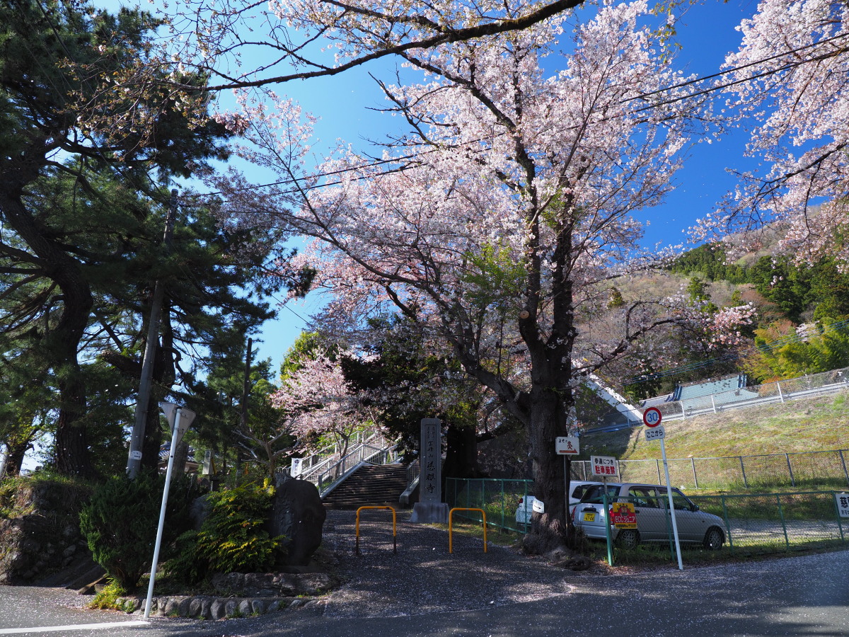 f:id:otaku4160:20190415053500j:plain f:id:otaku4160:20190415053500j:plain
