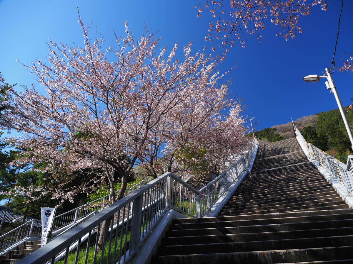 f:id:otaku4160:20190415053505j:plain f:id:otaku4160:20190415053505j:plain