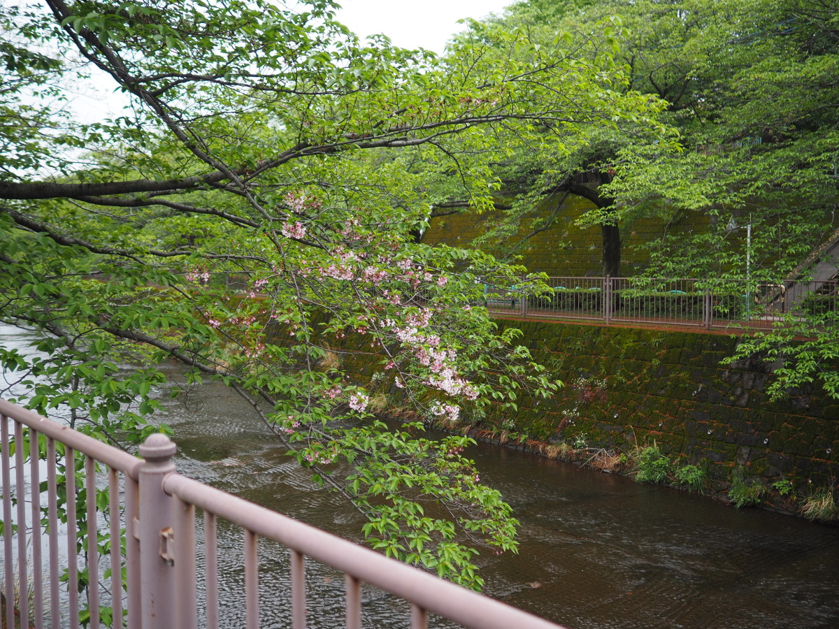 f:id:otaku4160:20190428202944j:plain f:id:otaku4160:20190428202944j:plain