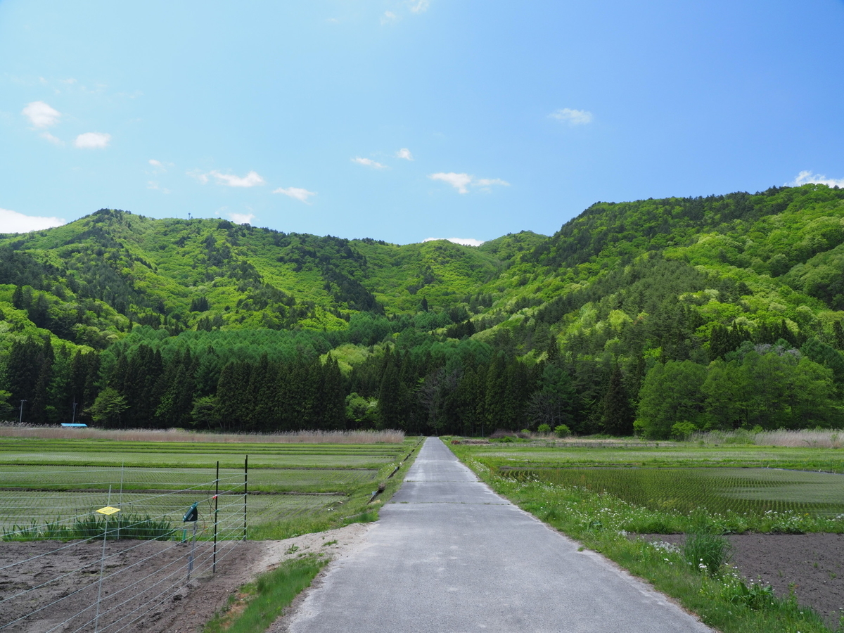 f:id:otaku4160:20190521021854j:plain f:id:otaku4160:20190521021854j:plain