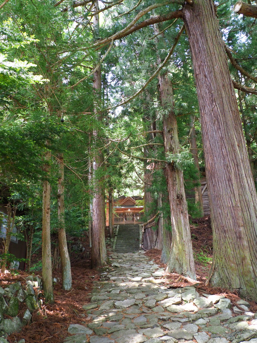 f:id:otaku4160:20190521021902j:plain f:id:otaku4160:20190521021902j:plain
