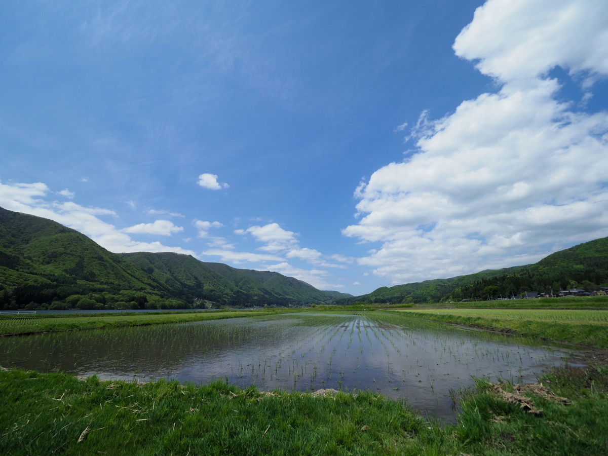 f:id:otaku4160:20190521022022j:plain f:id:otaku4160:20190521022022j:plain