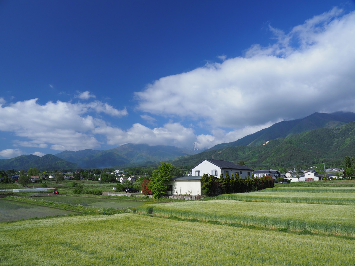 f:id:otaku4160:20190521022050j:plain f:id:otaku4160:20190521022050j:plain
