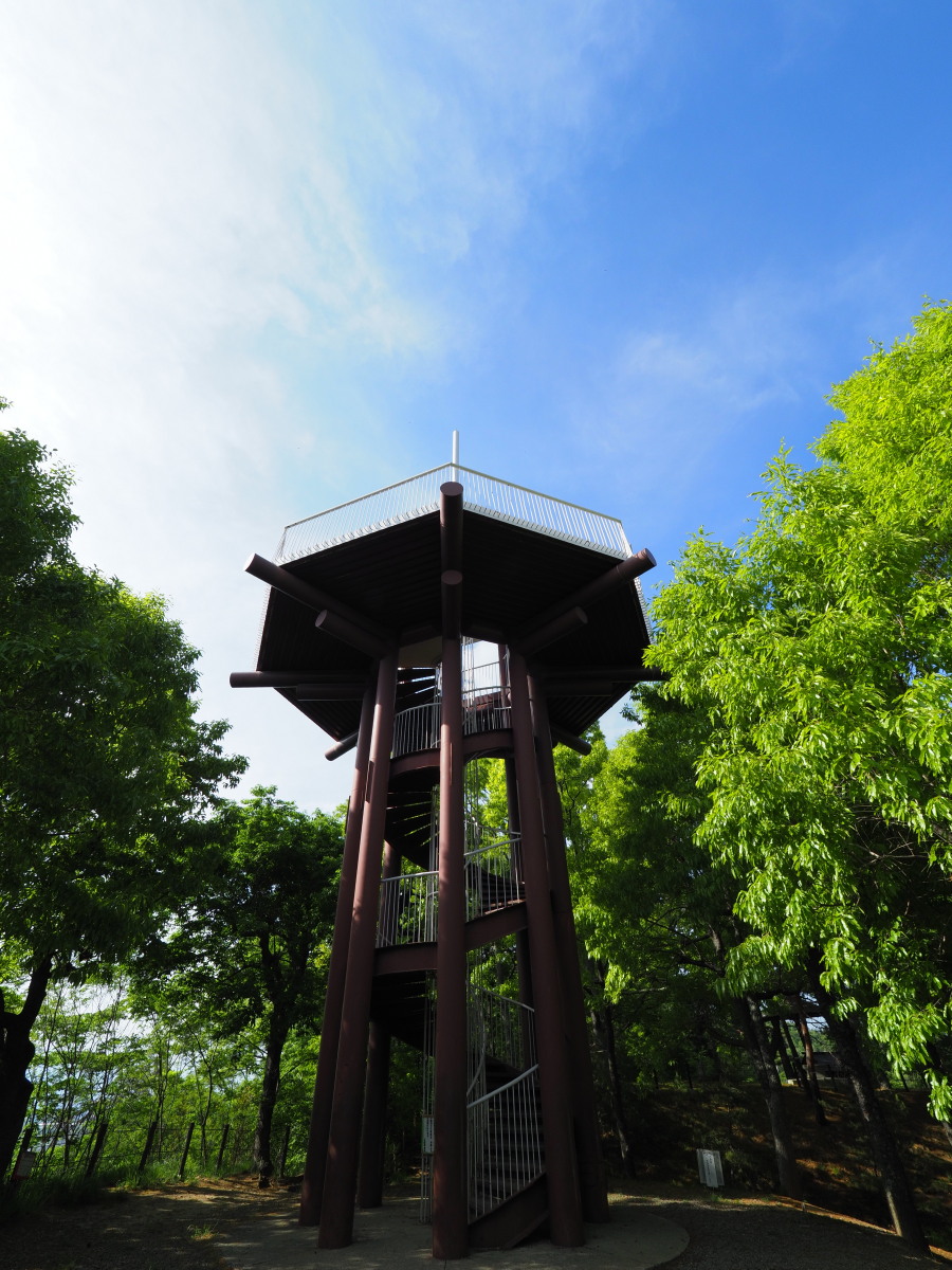 f:id:otaku4160:20190521022348j:plain f:id:otaku4160:20190521022348j:plain