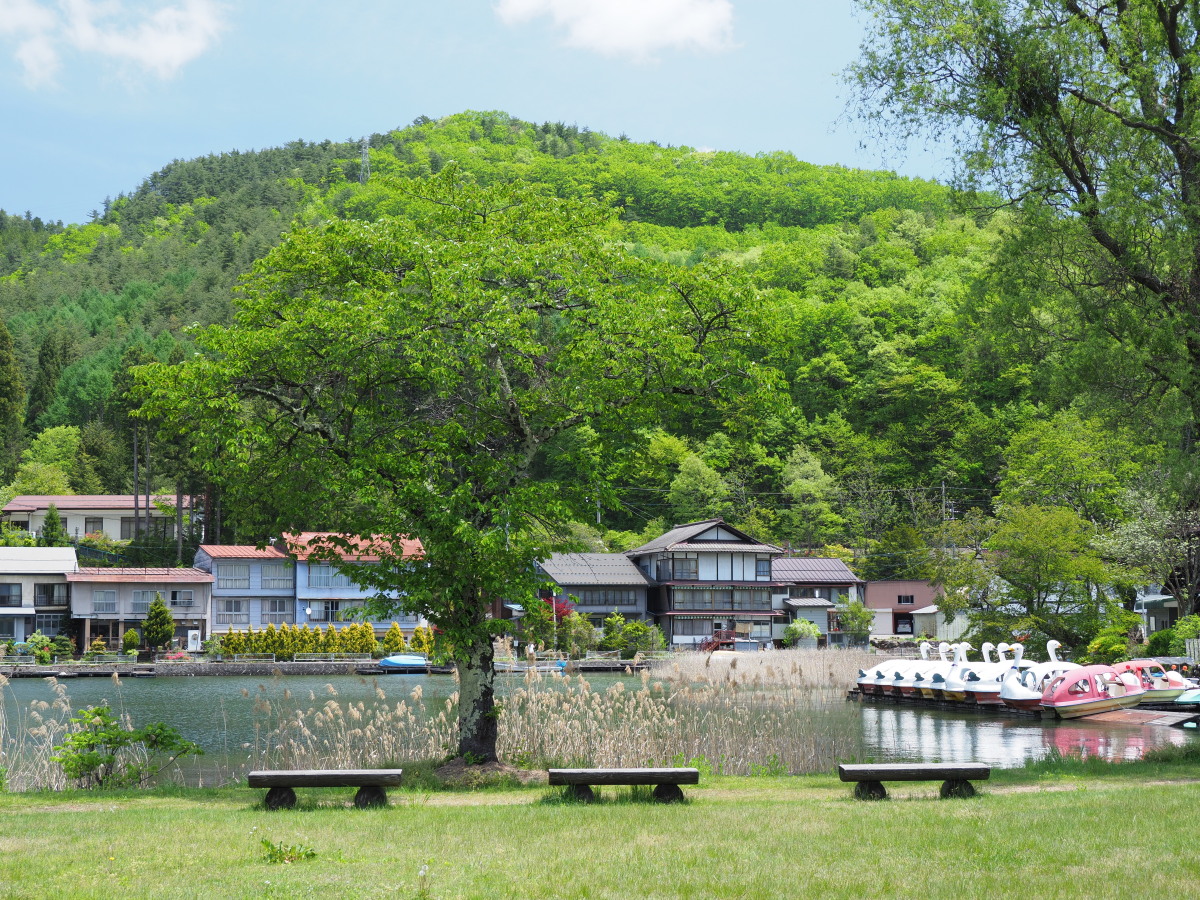 f:id:otaku4160:20190521022455j:plain f:id:otaku4160:20190521022455j:plain