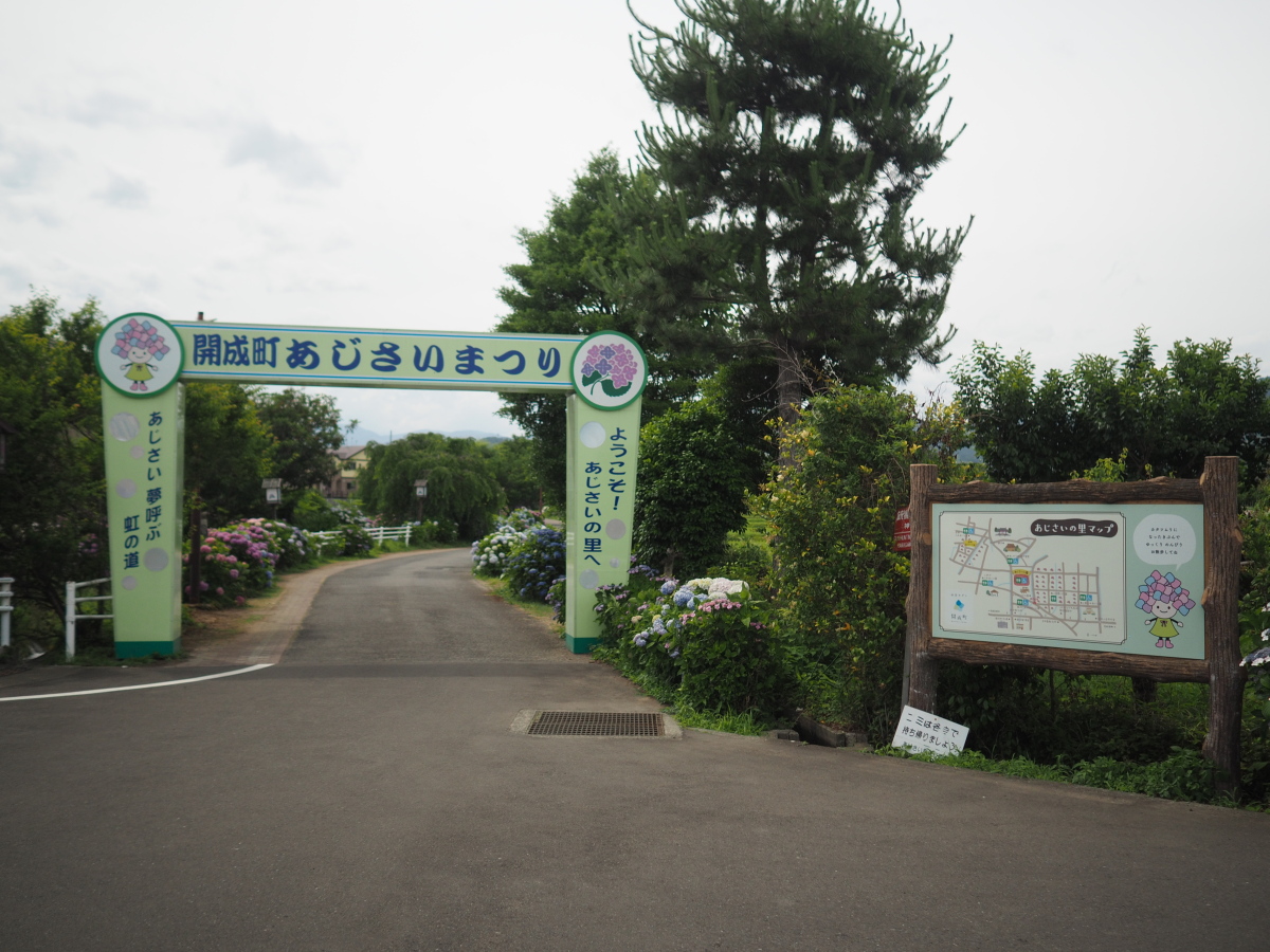 f:id:otaku4160:20190619041000j:plain f:id:otaku4160:20190619041000j:plain
