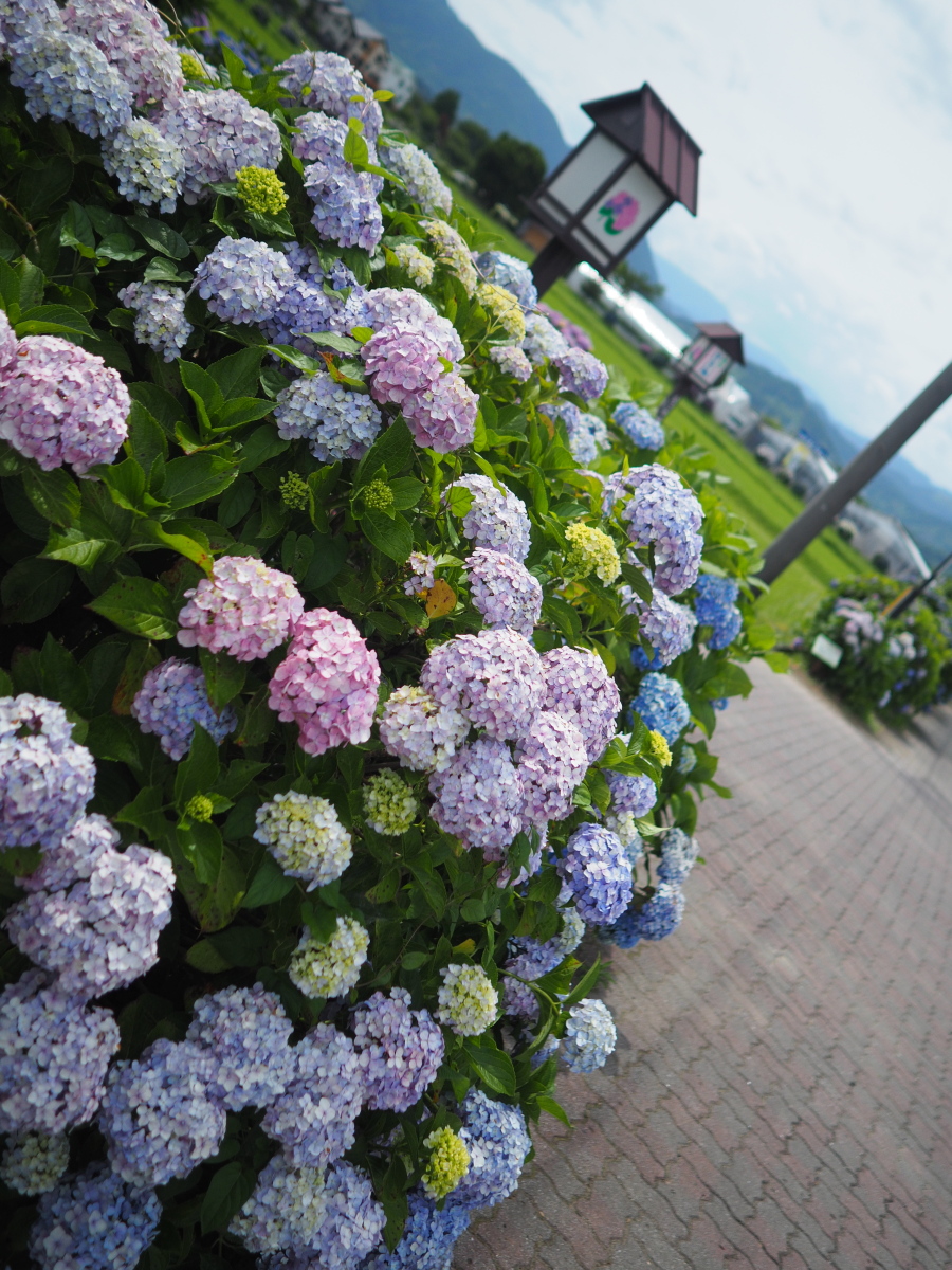 f:id:otaku4160:20190619041003j:plain f:id:otaku4160:20190619041003j:plain