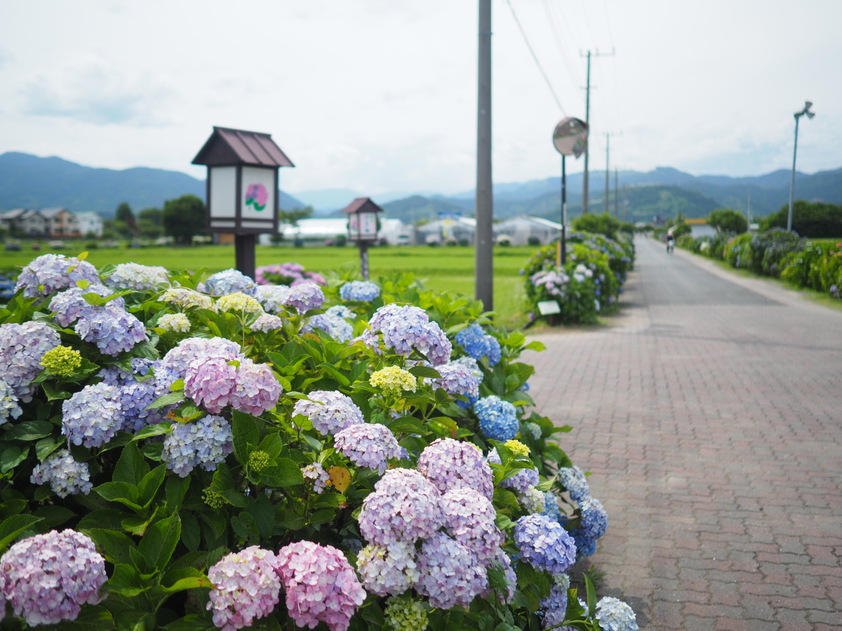 f:id:otaku4160:20190619053137j:plain f:id:otaku4160:20190619053137j:plain