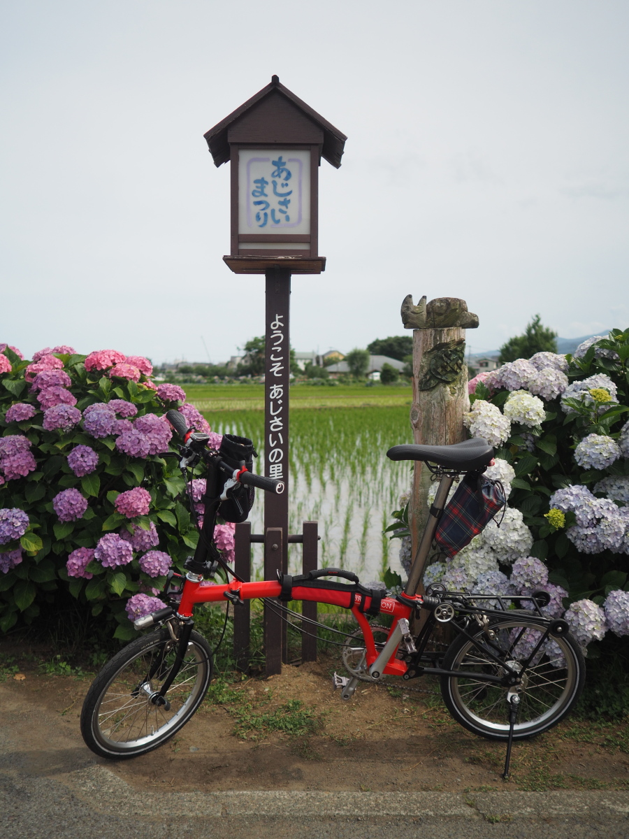 f:id:otaku4160:20190619053143j:plain f:id:otaku4160:20190619053143j:plain