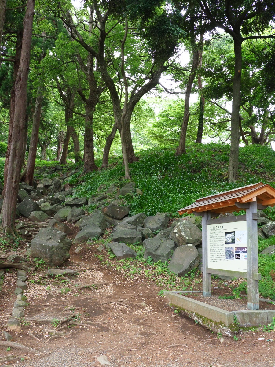 f:id:otaku4160:20190619053259j:plain f:id:otaku4160:20190619053259j:plain