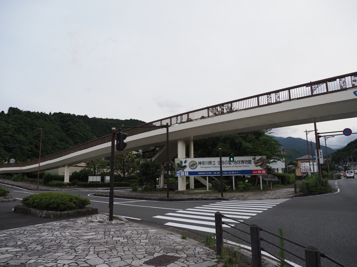 f:id:otaku4160:20190619053341j:plain f:id:otaku4160:20190619053341j:plain
