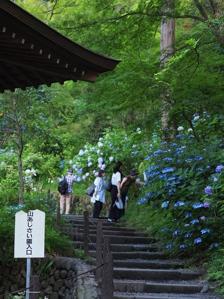 f:id:otaku4160:20190626051602j:plain f:id:otaku4160:20190626051602j:plain