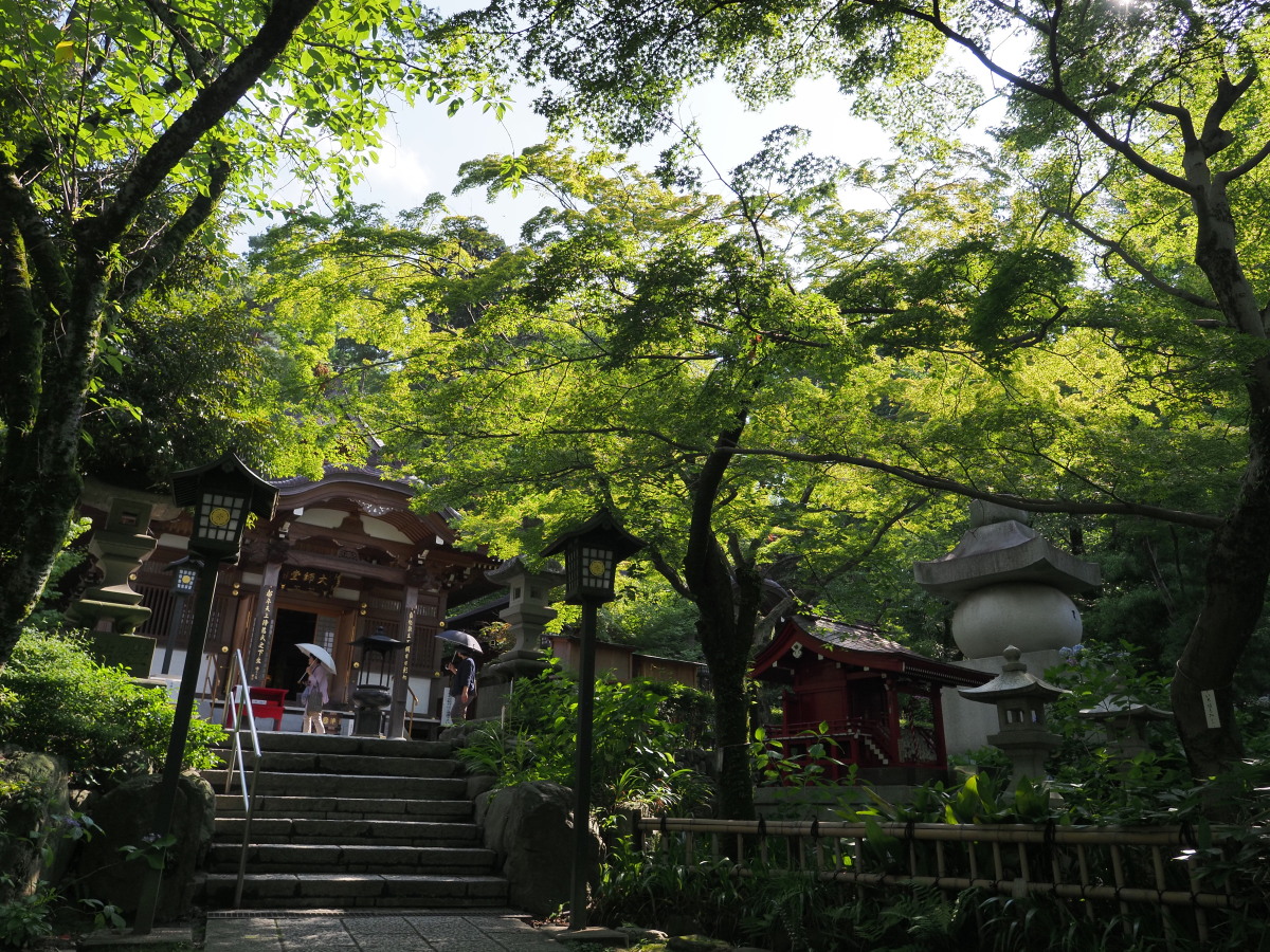 f:id:otaku4160:20190626051615j:plain f:id:otaku4160:20190626051615j:plain