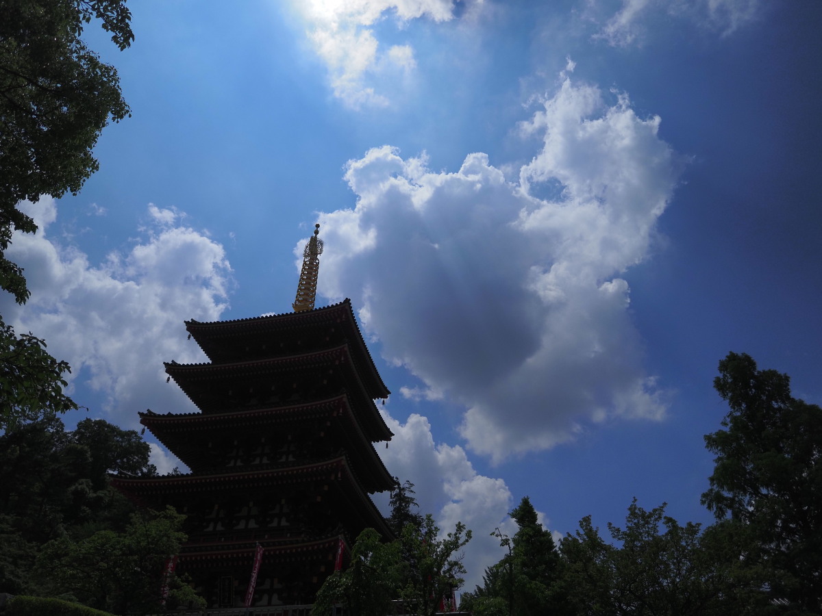 f:id:otaku4160:20190626051627j:plain f:id:otaku4160:20190626051627j:plain