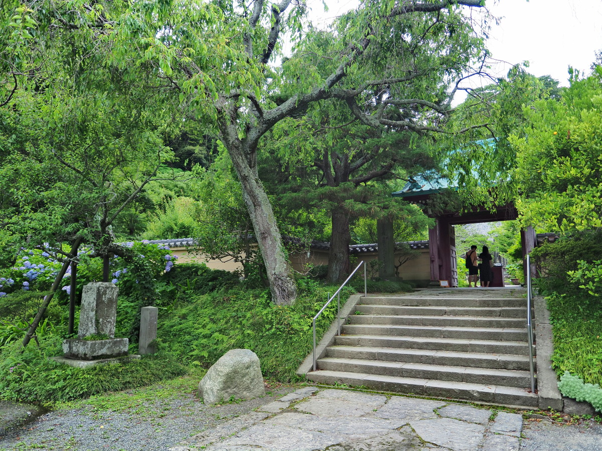 f:id:otaku4160:20190629143222j:plain f:id:otaku4160:20190629143222j:plain
