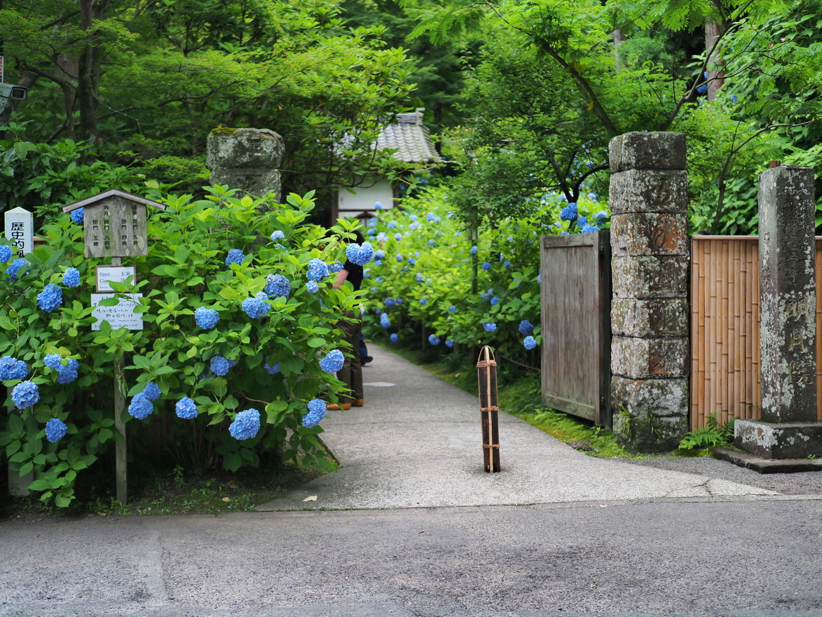 f:id:otaku4160:20190629143242j:plain f:id:otaku4160:20190629143242j:plain
