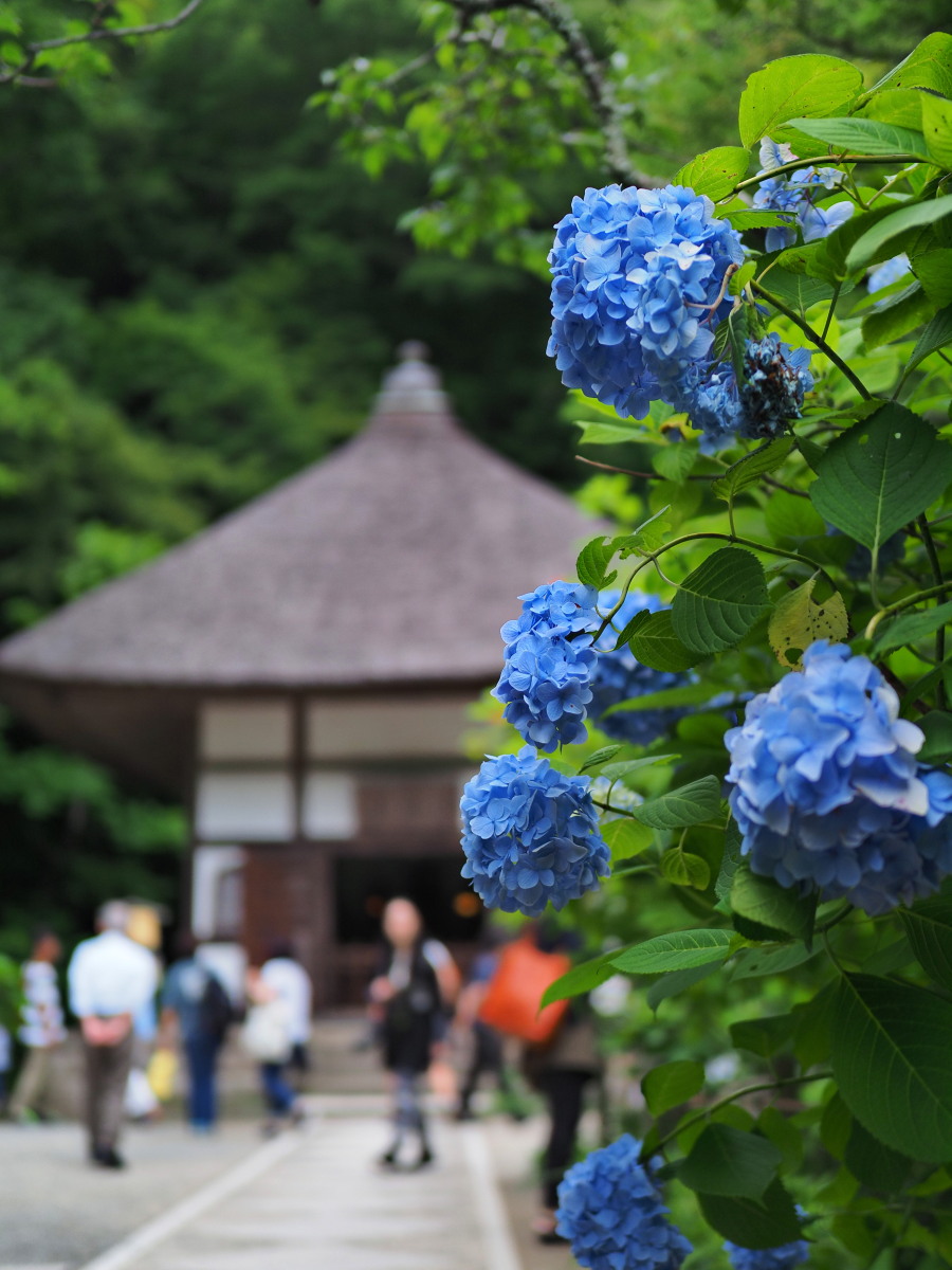 f:id:otaku4160:20190629143302j:plain f:id:otaku4160:20190629143302j:plain