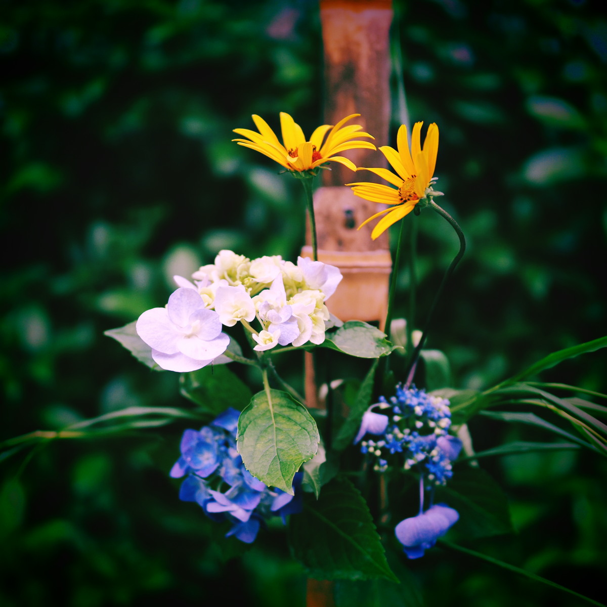 f:id:otaku4160:20190629143320j:plain f:id:otaku4160:20190629143320j:plain