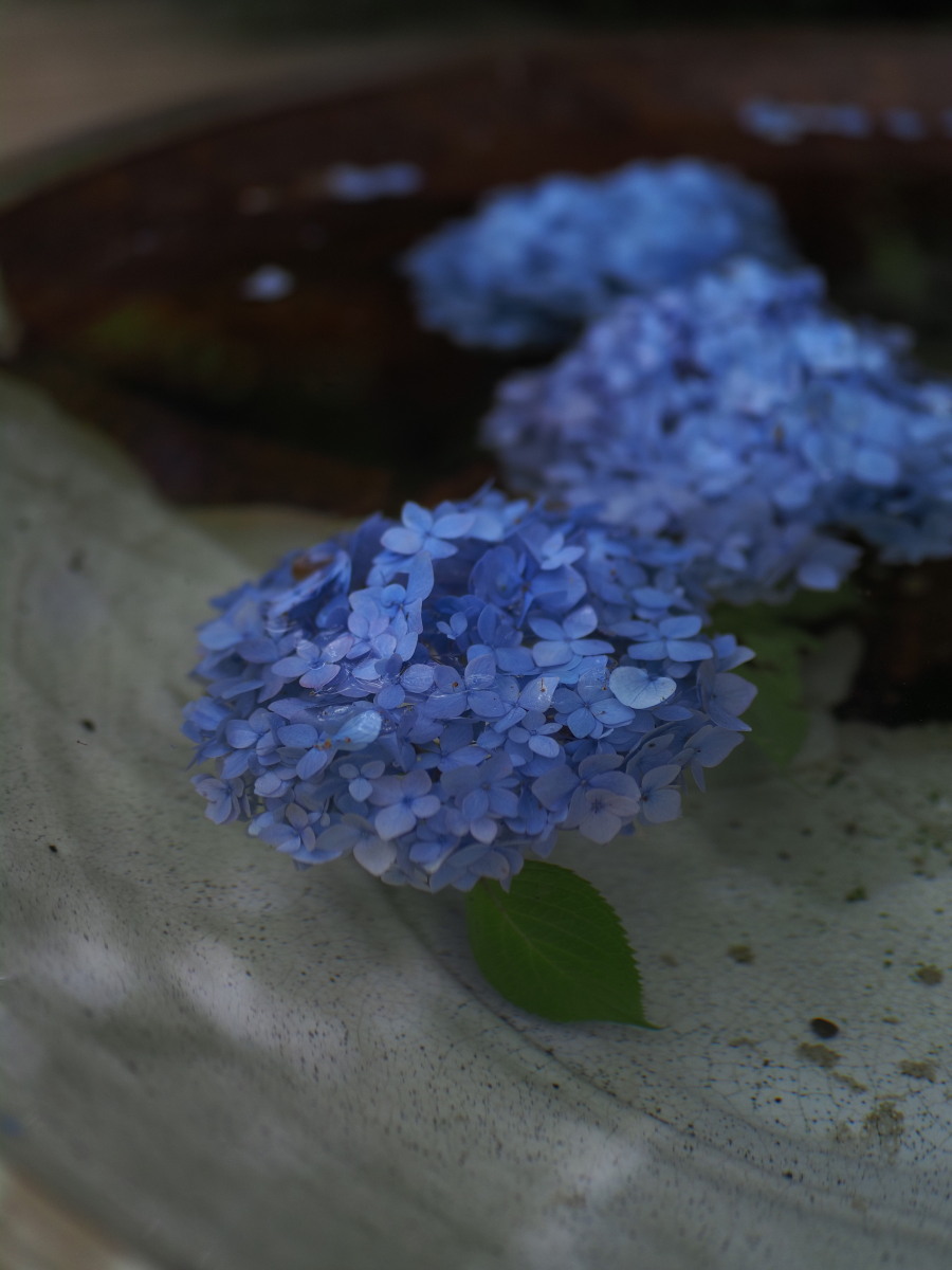 f:id:otaku4160:20190629143323j:plain f:id:otaku4160:20190629143323j:plain
