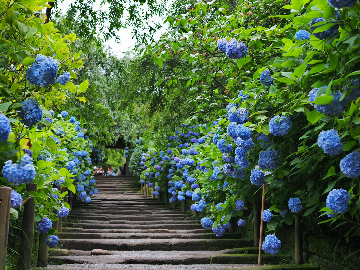 f:id:otaku4160:20190629143334j:plain f:id:otaku4160:20190629143334j:plain