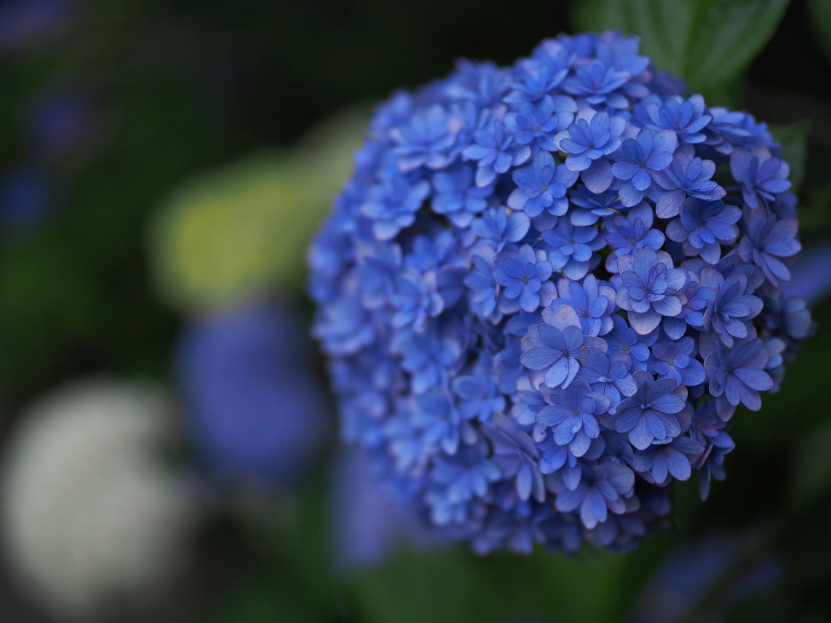 f:id:otaku4160:20190629143338j:plain f:id:otaku4160:20190629143338j:plain